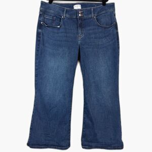 Lane Bryant Tighter Tummy Bootcut Jeans Women’s 20P Petite High Rise Stretch